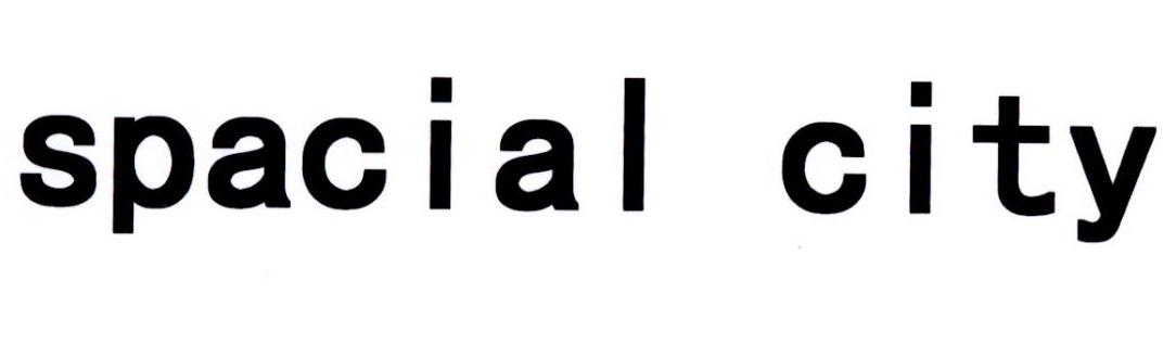 SPACIAL CITY