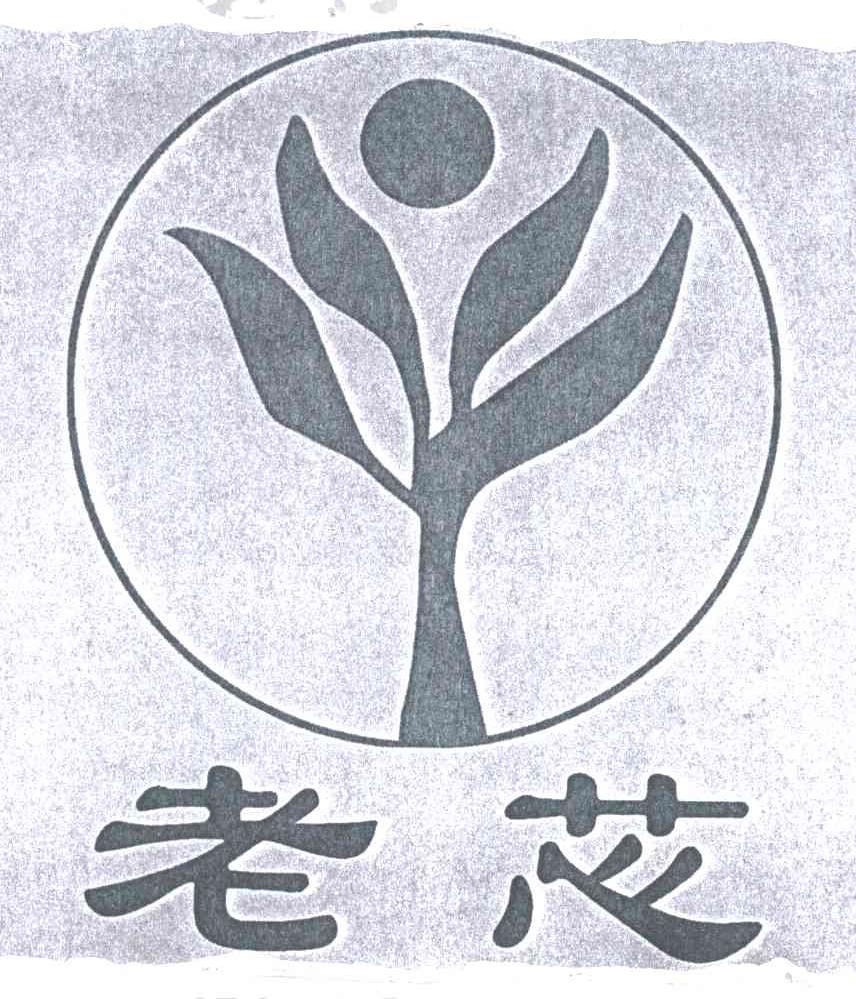 老芯
