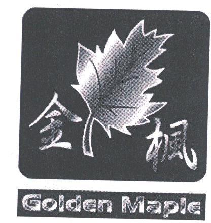 金枫;GOLDEN MAPLE
