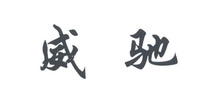 威驰
