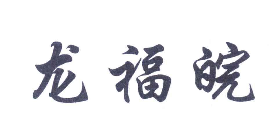 龙福皖