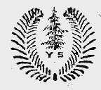 YS