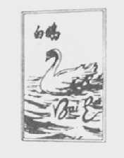 白鹅