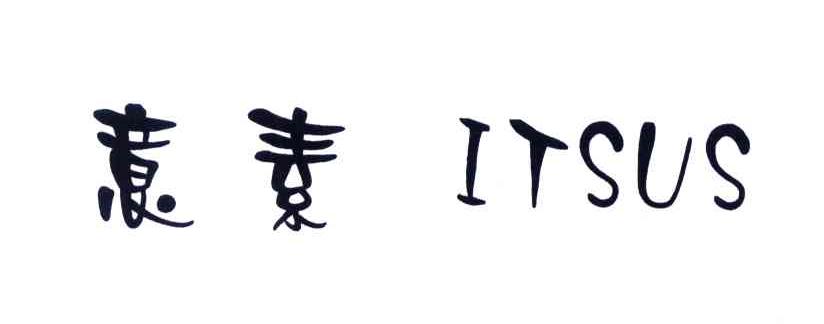 意素;ITSUS