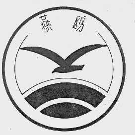 燕鸥