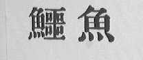 鳄鱼