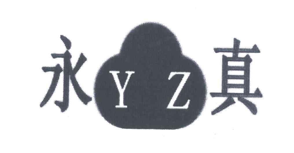永真 YZ