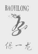 保一龙