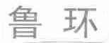 鲁环