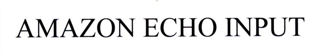 AMAZON ECHO INPUT