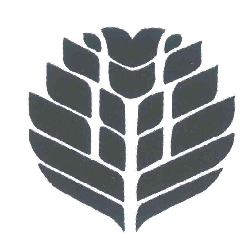 图形