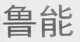 鲁能