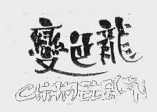 变色龙   CHAMELEON
