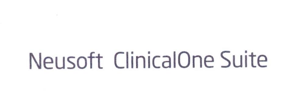 NEUSOFT CLINICALONE SUITE