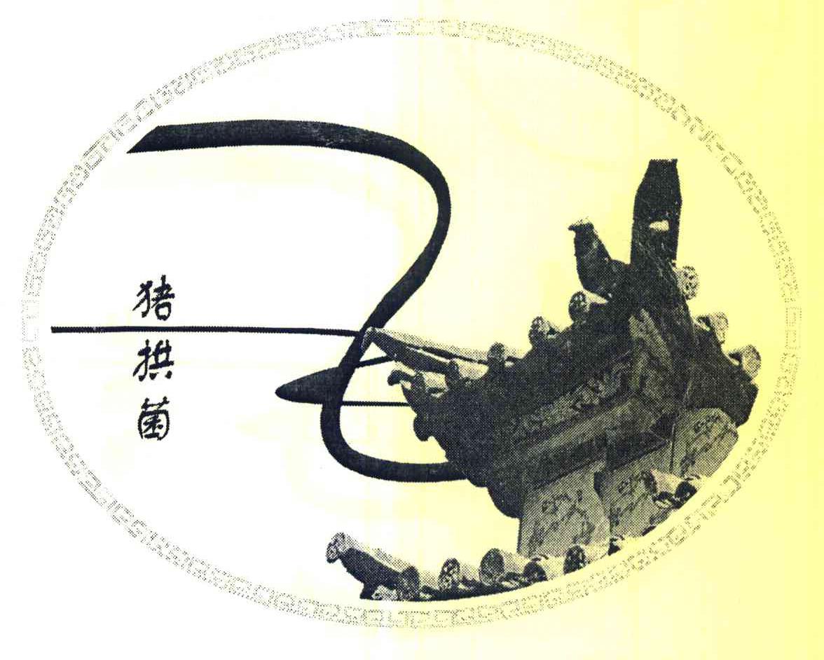 猪拱菌