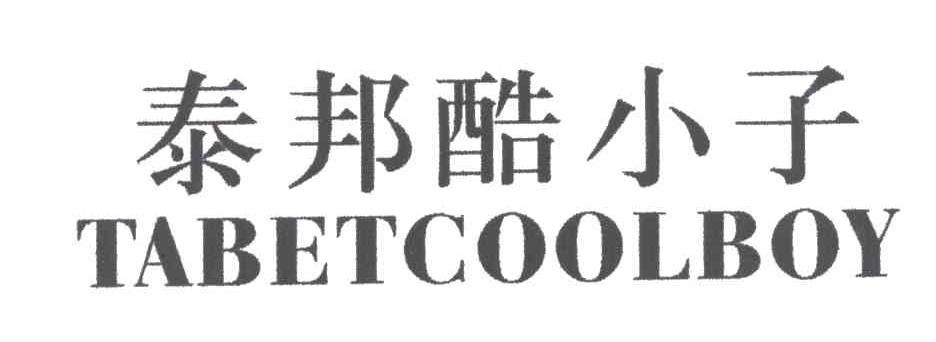 泰邦酷小子TABETCOOLBOY