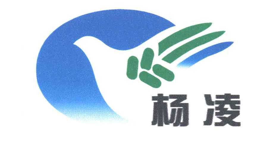 杨凌