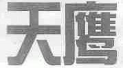 天鹰