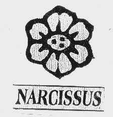 NARCISSUS
