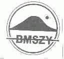 BMSZY