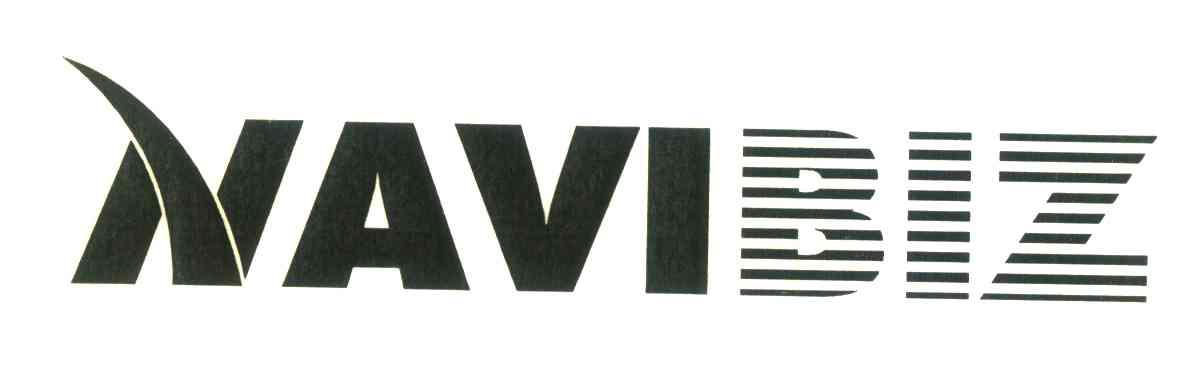 NAVIBIZ