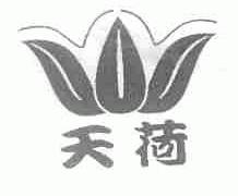 天荷