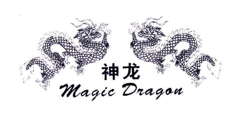 神龙;MAGIC DRAGON