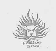 图腾狮   TPILION
