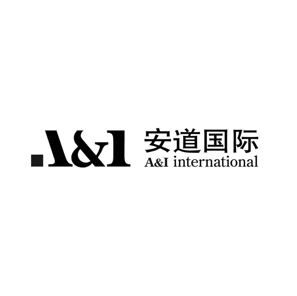 安道国际 A&I INTERNATIONAL AI