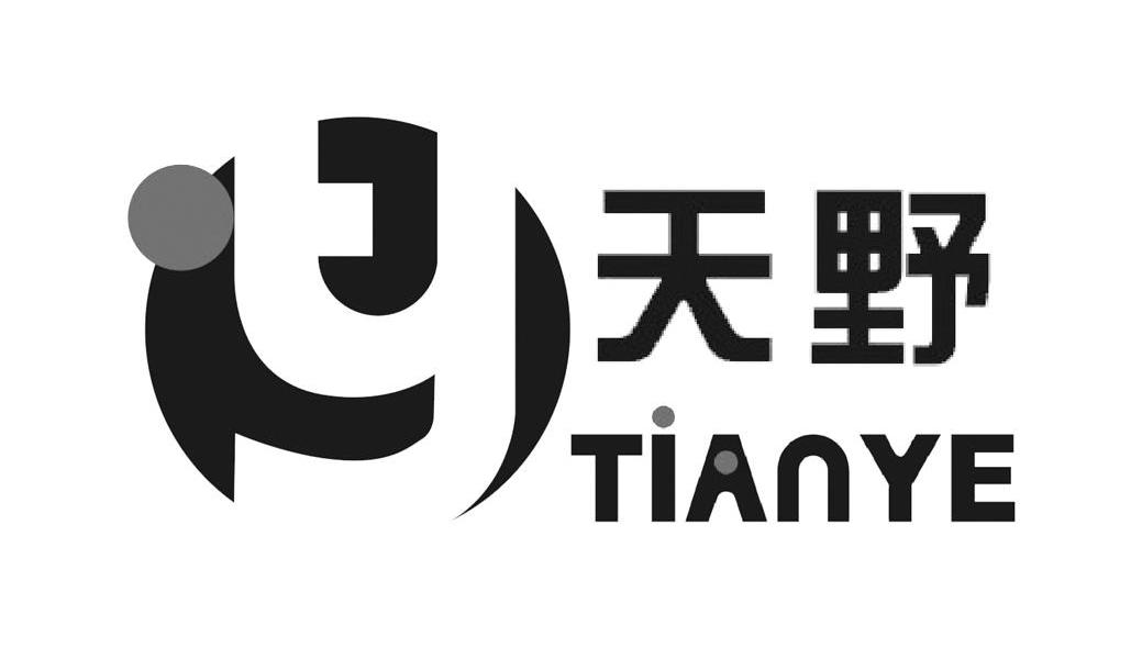 天野