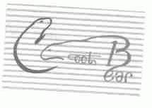 COOL BEAR