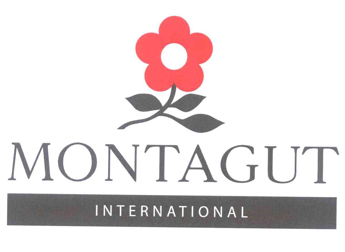 MONTAGUT INTERNATIONAL