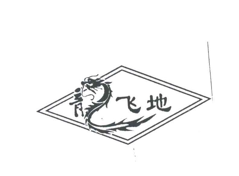 龙飞地