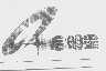 启明星