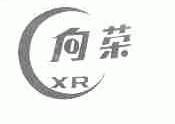 向荣