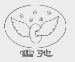 雪驰