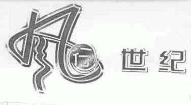 风行世纪