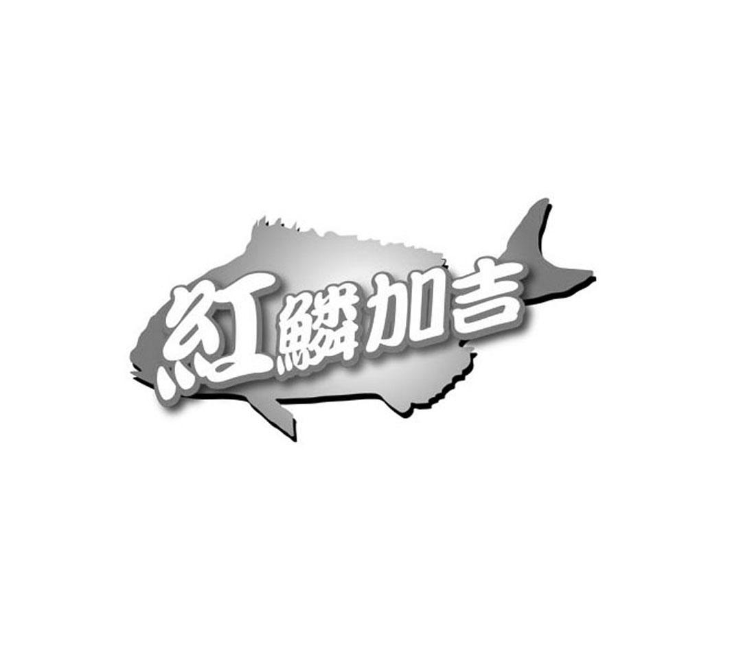 红鳞加吉