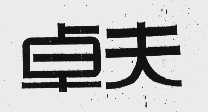 卓夫