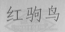 红驹鸟