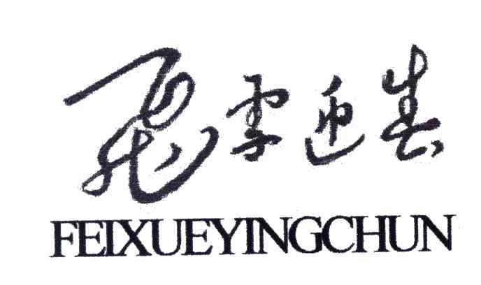 飞雪迎春