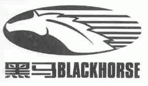 黑马;BLACKHORSE
