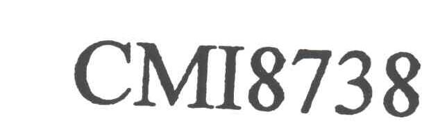 CMI8738