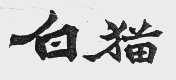 白猫