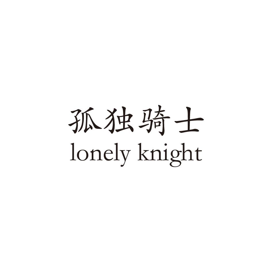孤独骑士 LONELY KNIGHT