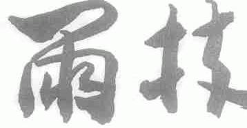 雨林