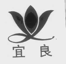 宜良