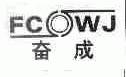 奋成;FC WJ