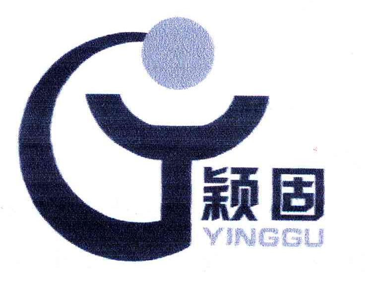 颖固 GY