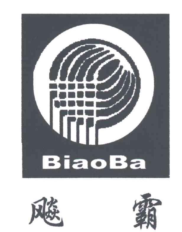 飚霸;BIAOBA;图形